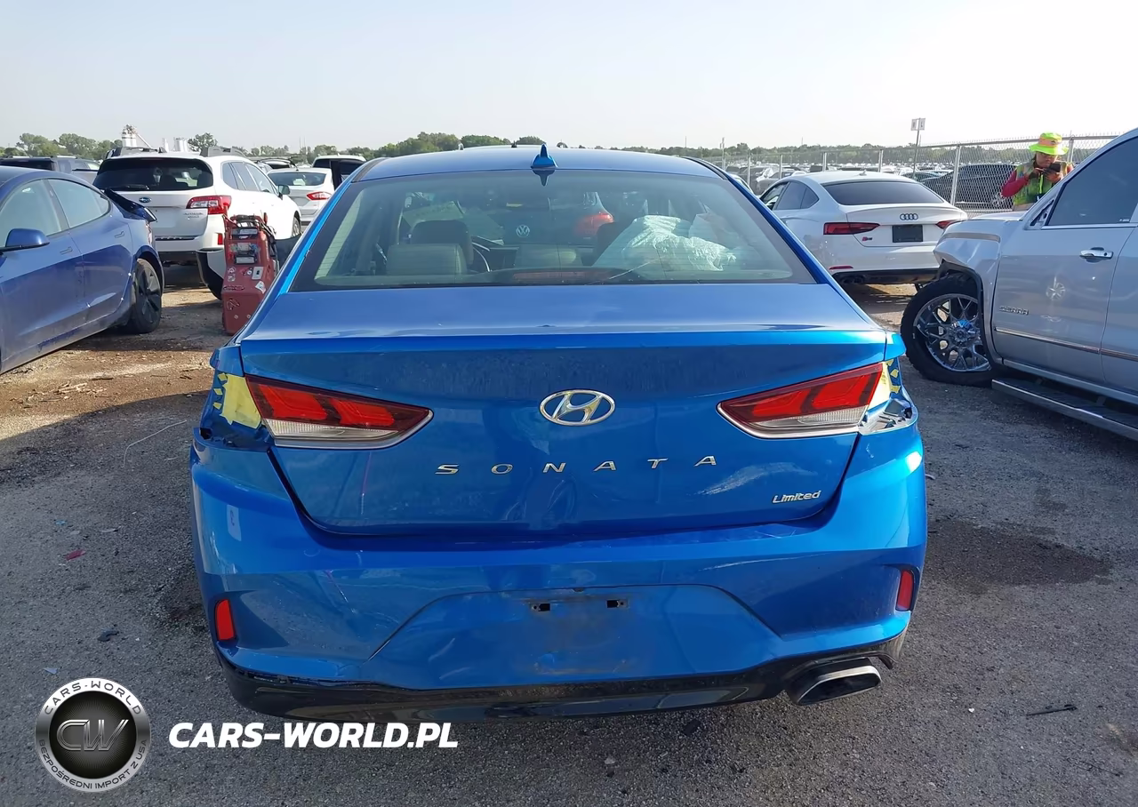 2019 Hyundai Sonata Limited VIN:5NPE34AF3KH784123 - 16