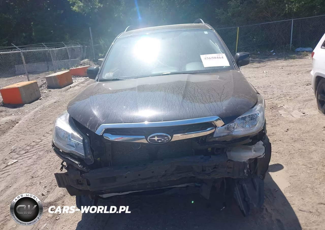 2018 Subaru Forester 2.5I Limited VIN:JF2SJAJC9JH532534 - 12