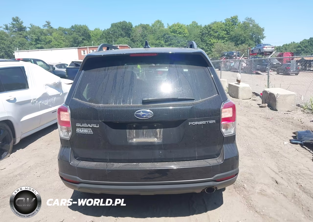 2018 Subaru Forester 2.5I Limited VIN:JF2SJAJC9JH532534 - 16