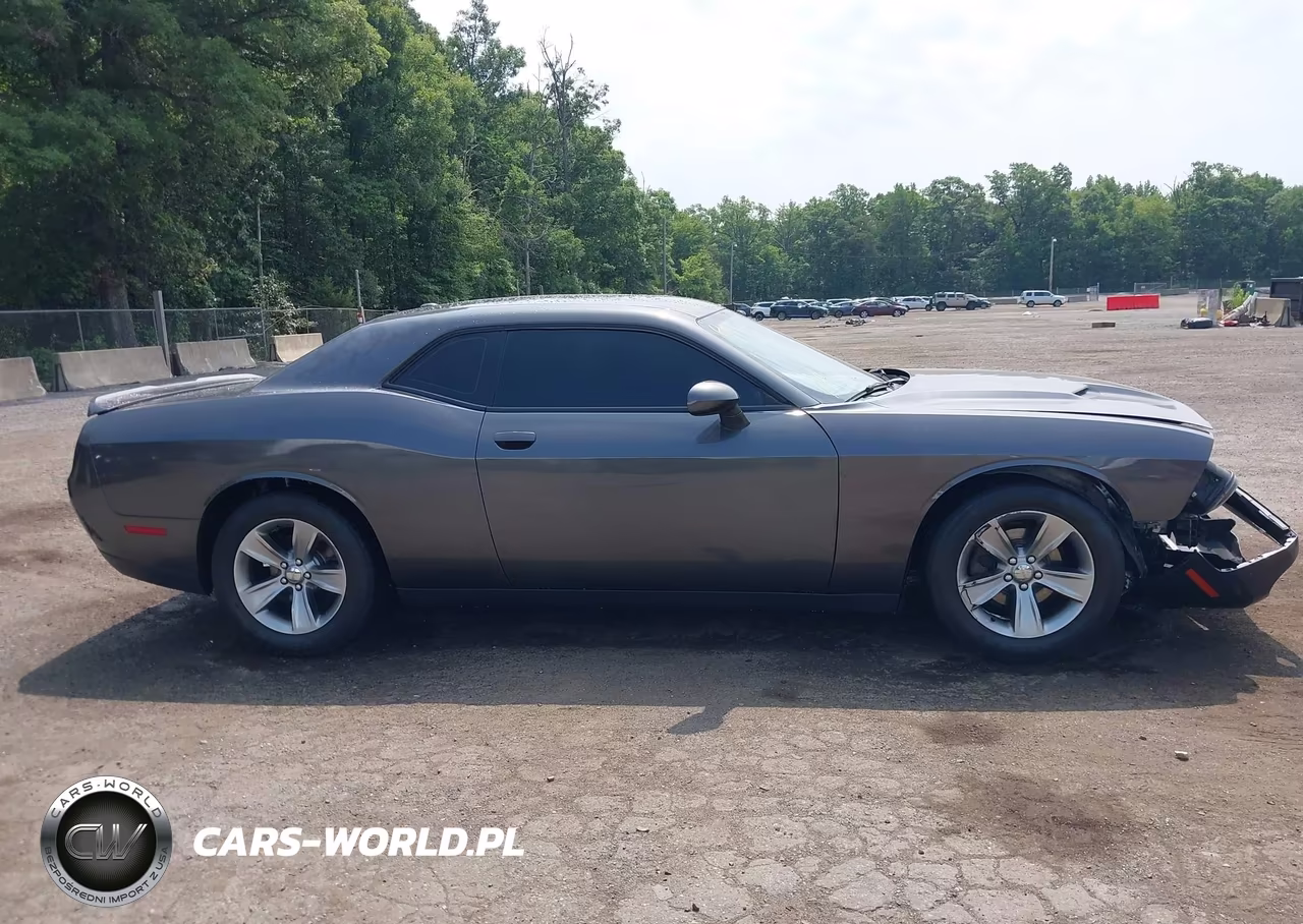 2018 Dodge Challenger Sxt VIN:2C3CDZAG6JH245873 - 13