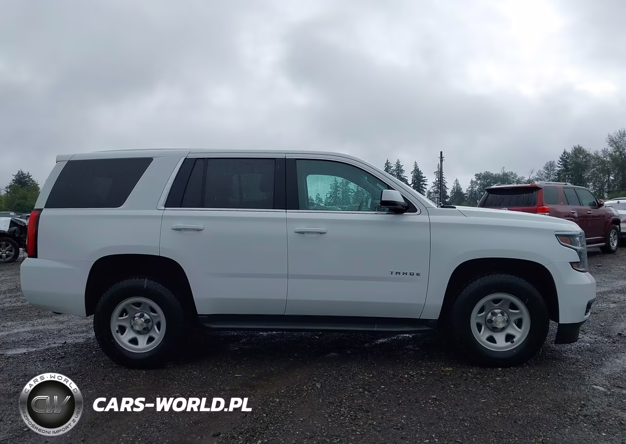 2017 Chevrolet Tahoe Commercial VIN:1GNSKEEC5HR319122 - 13