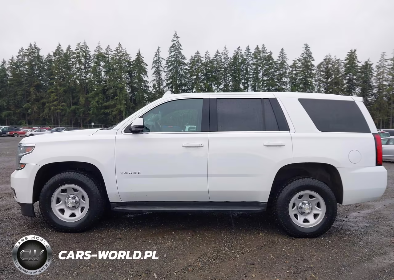 2017 Chevrolet Tahoe Commercial VIN:1GNSKEEC5HR319122 - 14