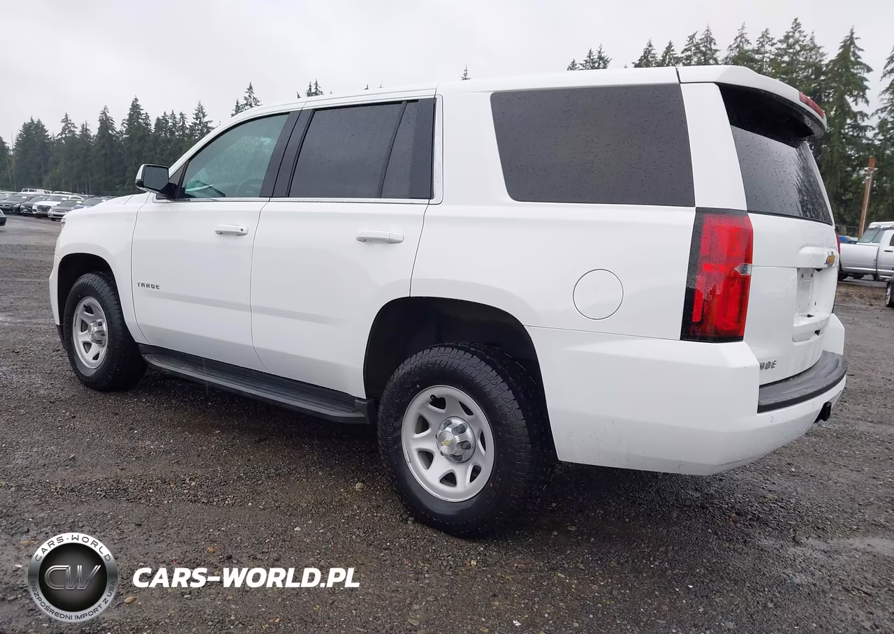 2017 Chevrolet Tahoe Commercial VIN:1GNSKEEC5HR319122 - 3
