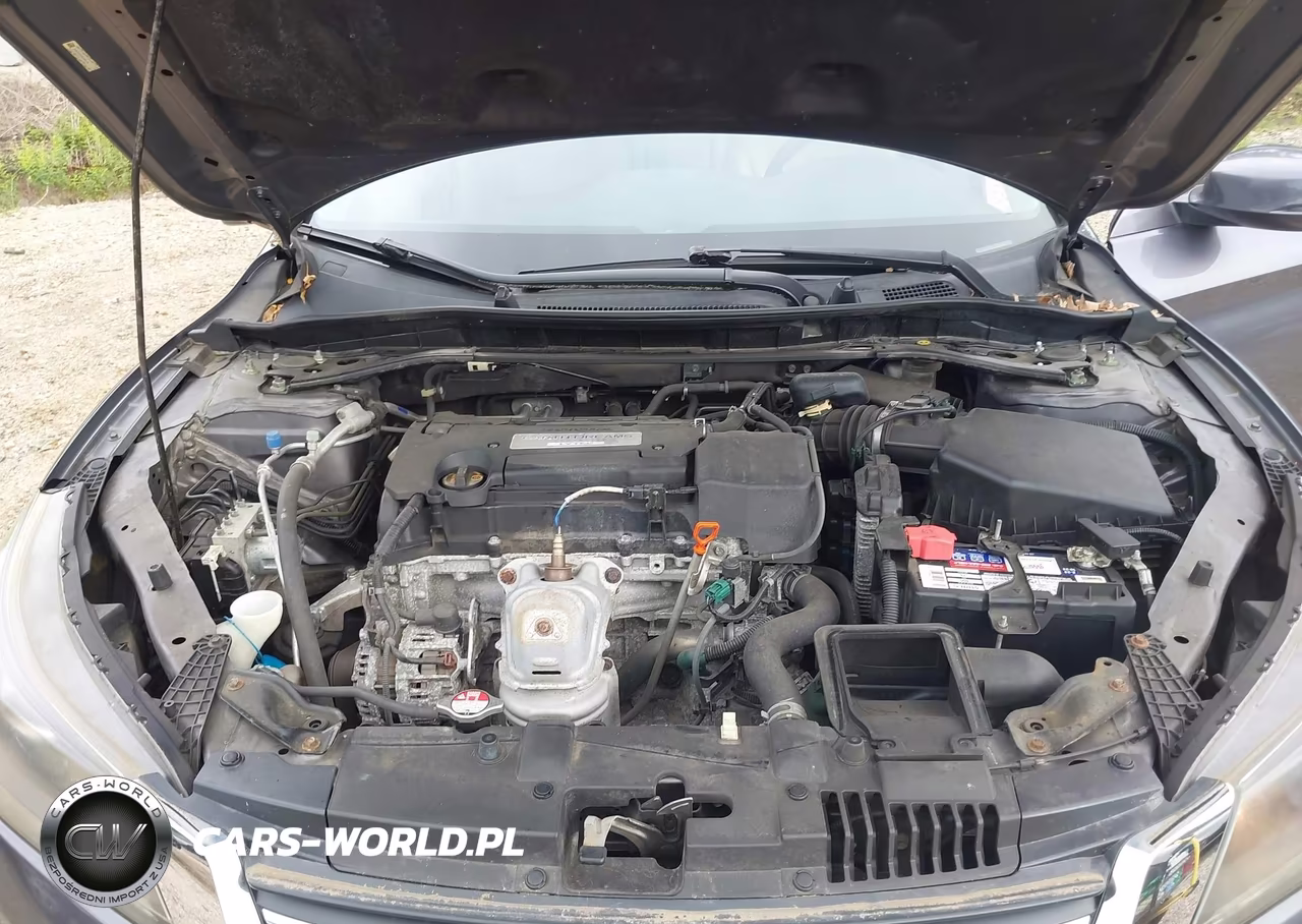 2014 Honda Accord Ex-L VIN:1HGCR2F81EA094114 - 10