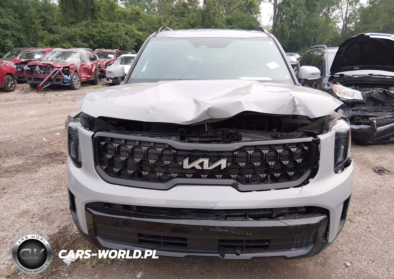 2024 Kia Telluride Ex X-Line VIN:5XYP3DGC2RG501234 - 12
