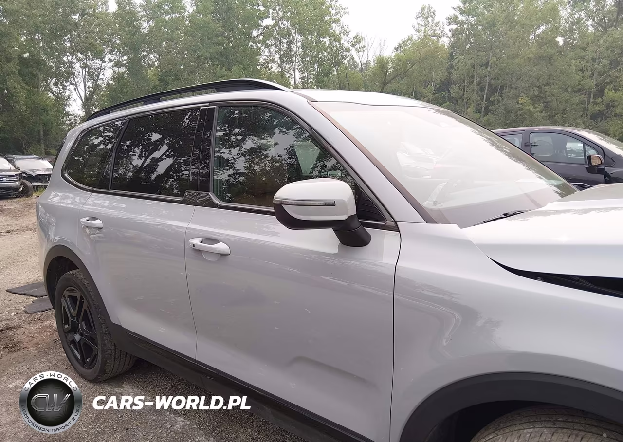 2024 Kia Telluride Ex X-Line VIN:5XYP3DGC2RG501234 - 13