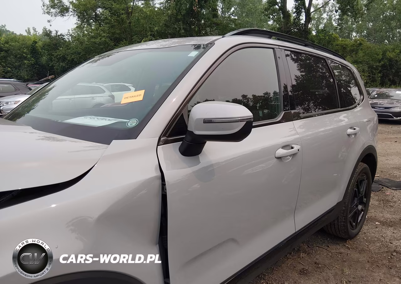 2024 Kia Telluride Ex X-Line VIN:5XYP3DGC2RG501234 - 14