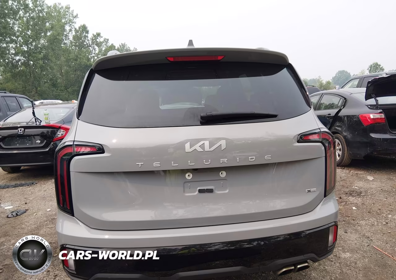 2024 Kia Telluride Ex X-Line VIN:5XYP3DGC2RG501234 - 16