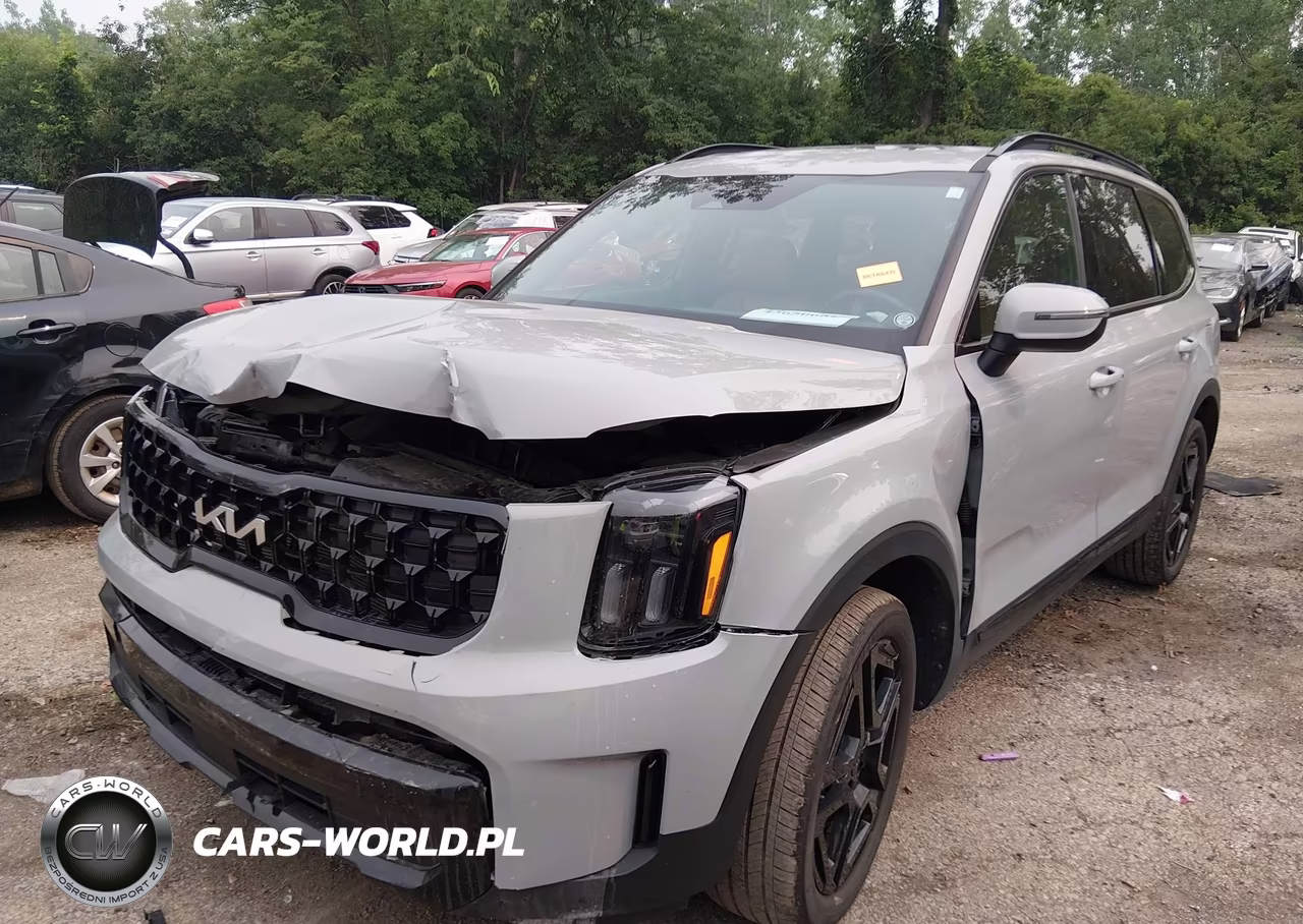 2024 Kia Telluride Ex X-Line VIN:5XYP3DGC2RG501234 - 2