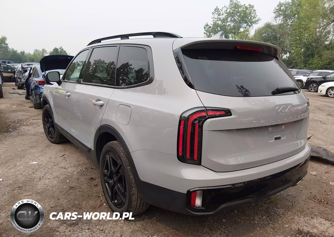 2024 Kia Telluride Ex X-Line VIN:5XYP3DGC2RG501234 - 3