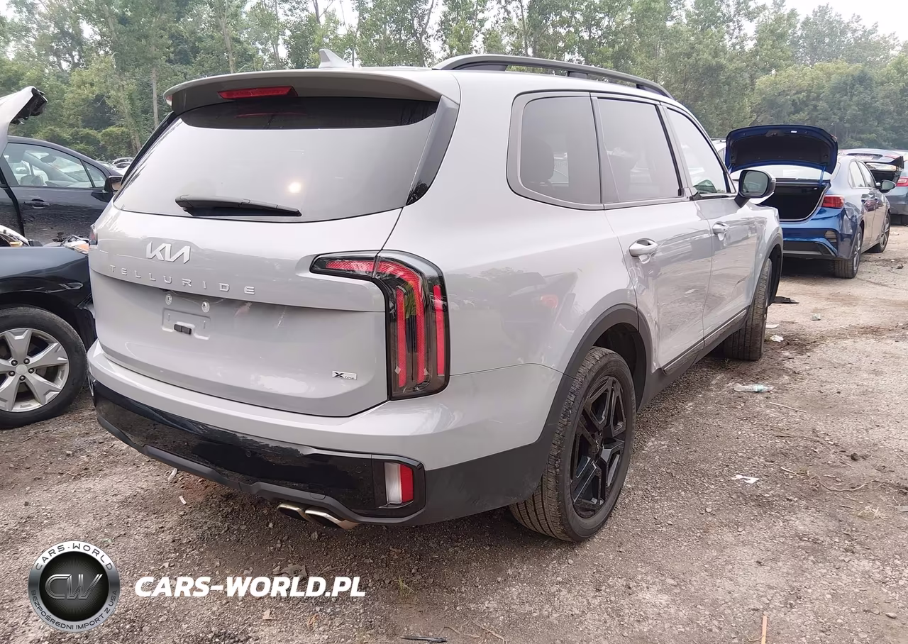 2024 Kia Telluride Ex X-Line VIN:5XYP3DGC2RG501234 - 4