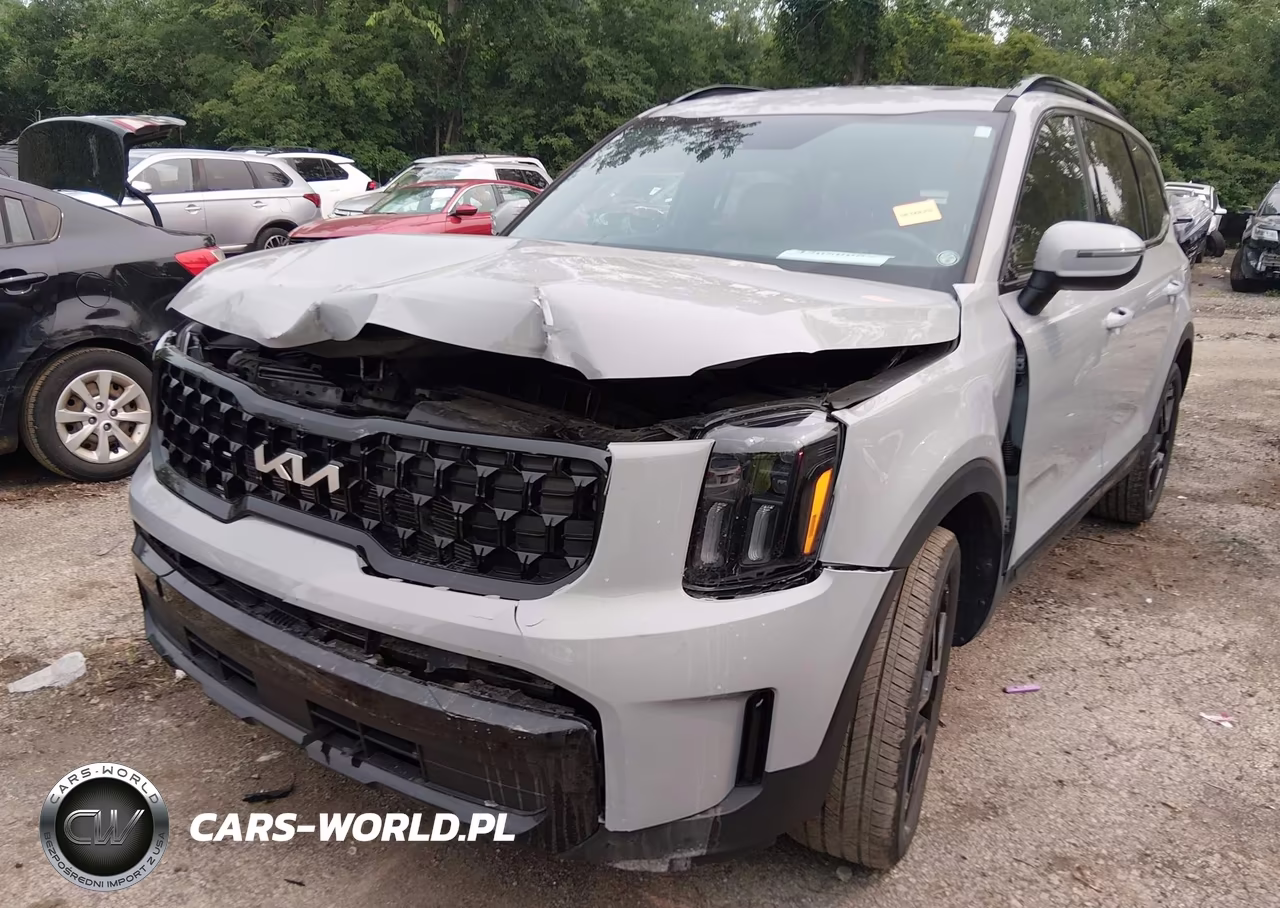 2024 Kia Telluride Ex X-Line VIN:5XYP3DGC2RG501234 - 6