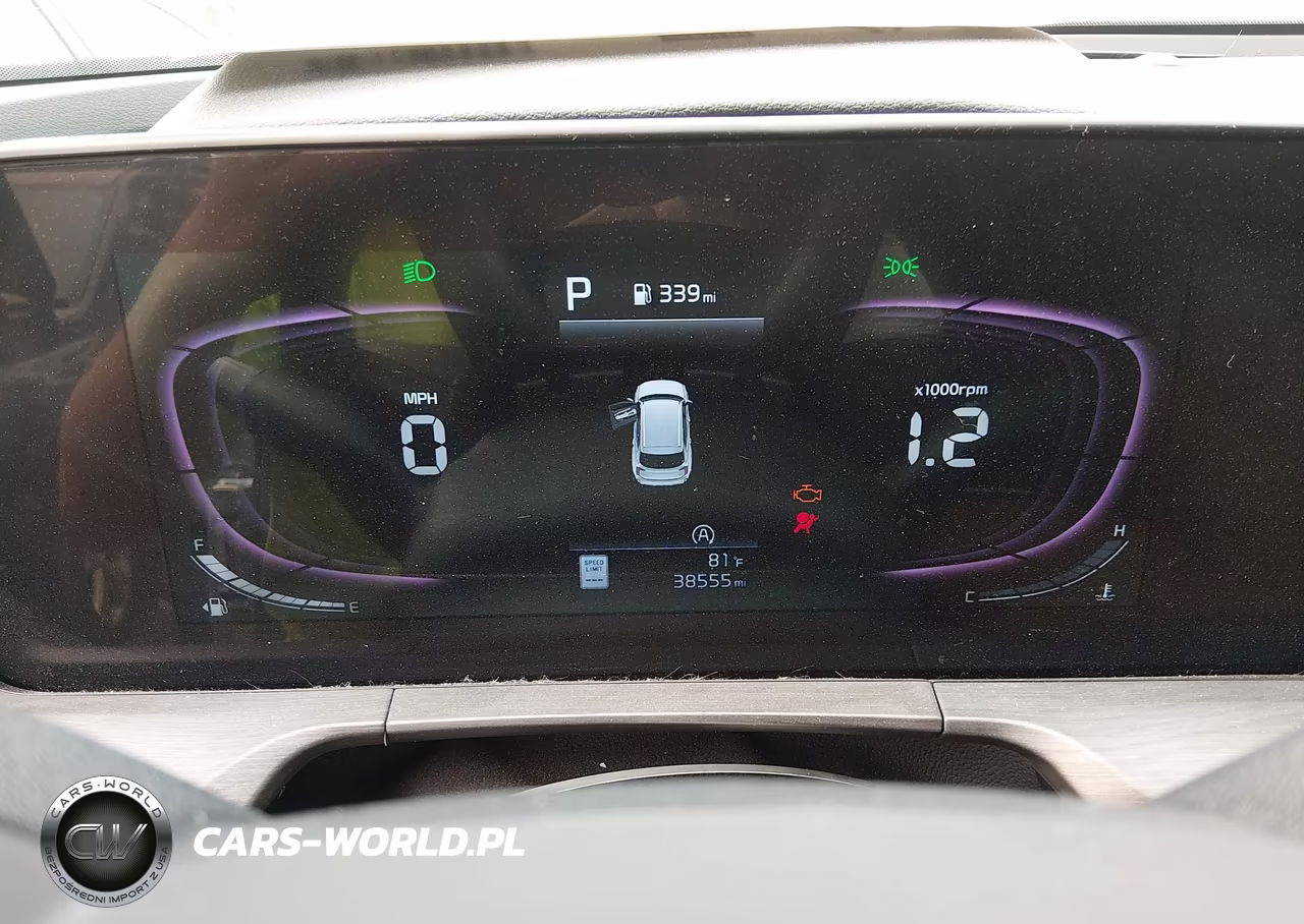 2024 Kia Telluride Ex X-Line VIN:5XYP3DGC2RG501234 - 7