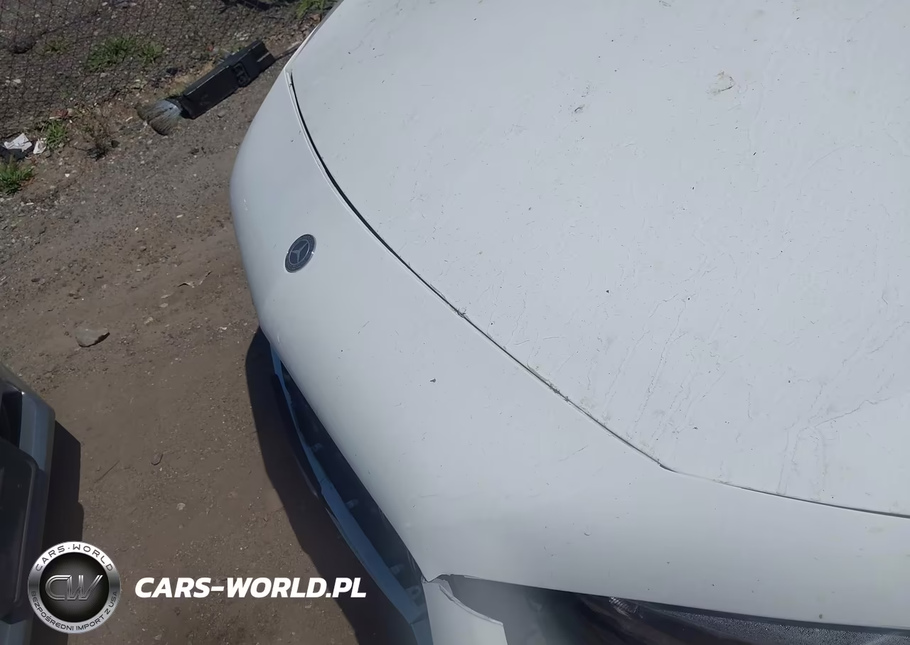 2019 Mercedes-Benz A 220 4Matic VIN:WDD3G4FB9KW012775 - 10
