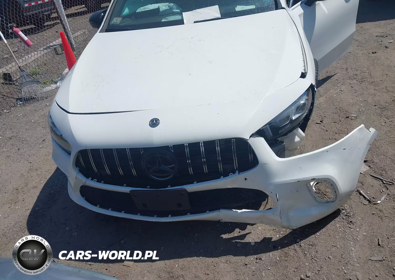 2019 Mercedes-Benz A 220 4Matic VIN:WDD3G4FB9KW012775 - 12