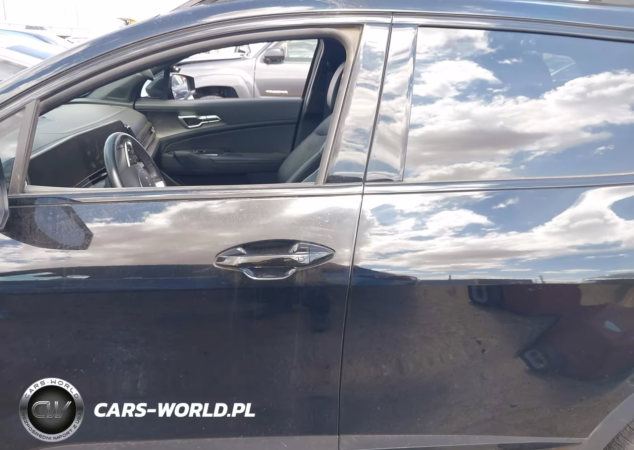2025 Kia Sportage X-Line VIN:5XYK6CDF6SG236625 - 13