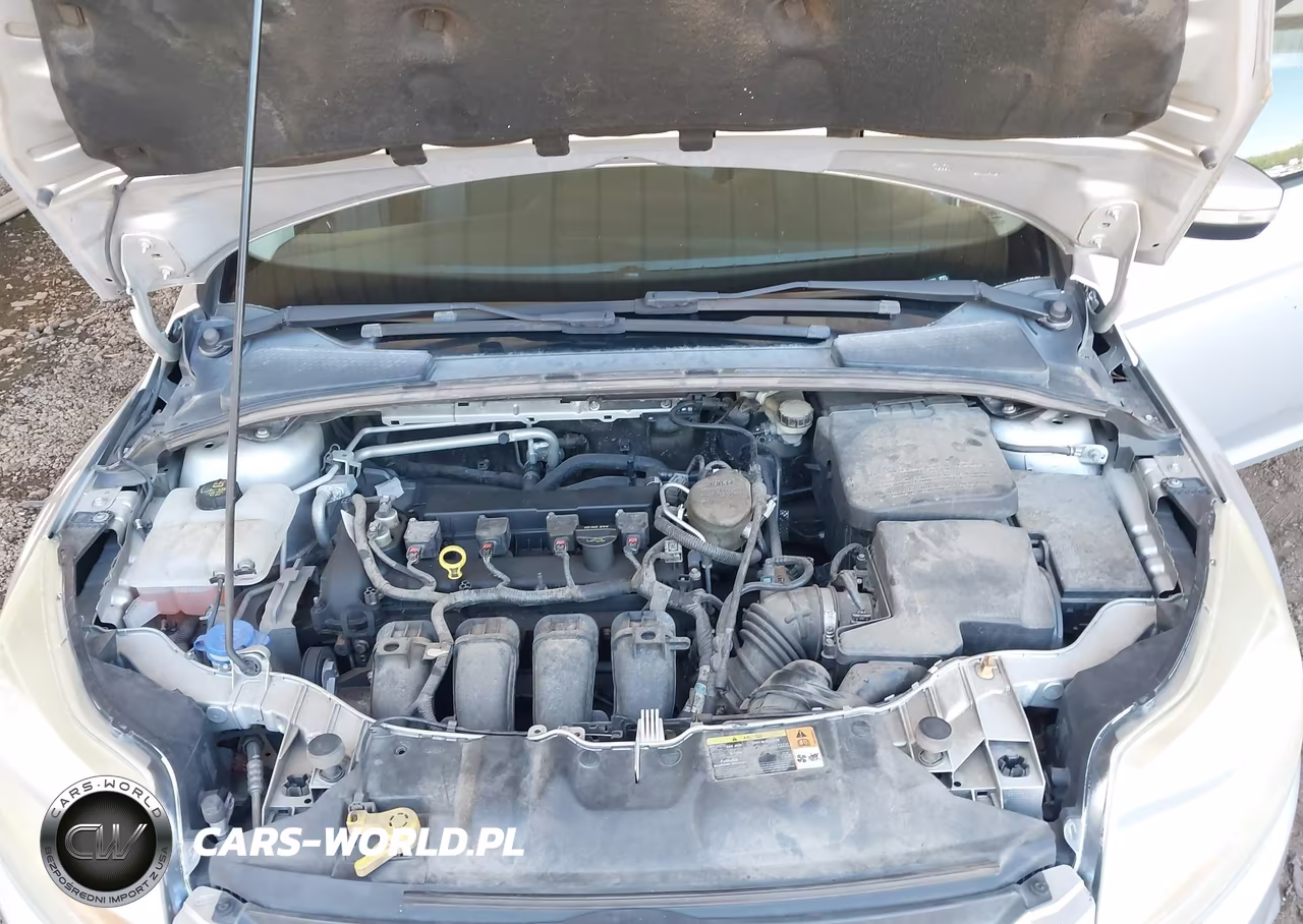 2013 Ford Focus Se VIN:1FADP3F25DL368692 - 10