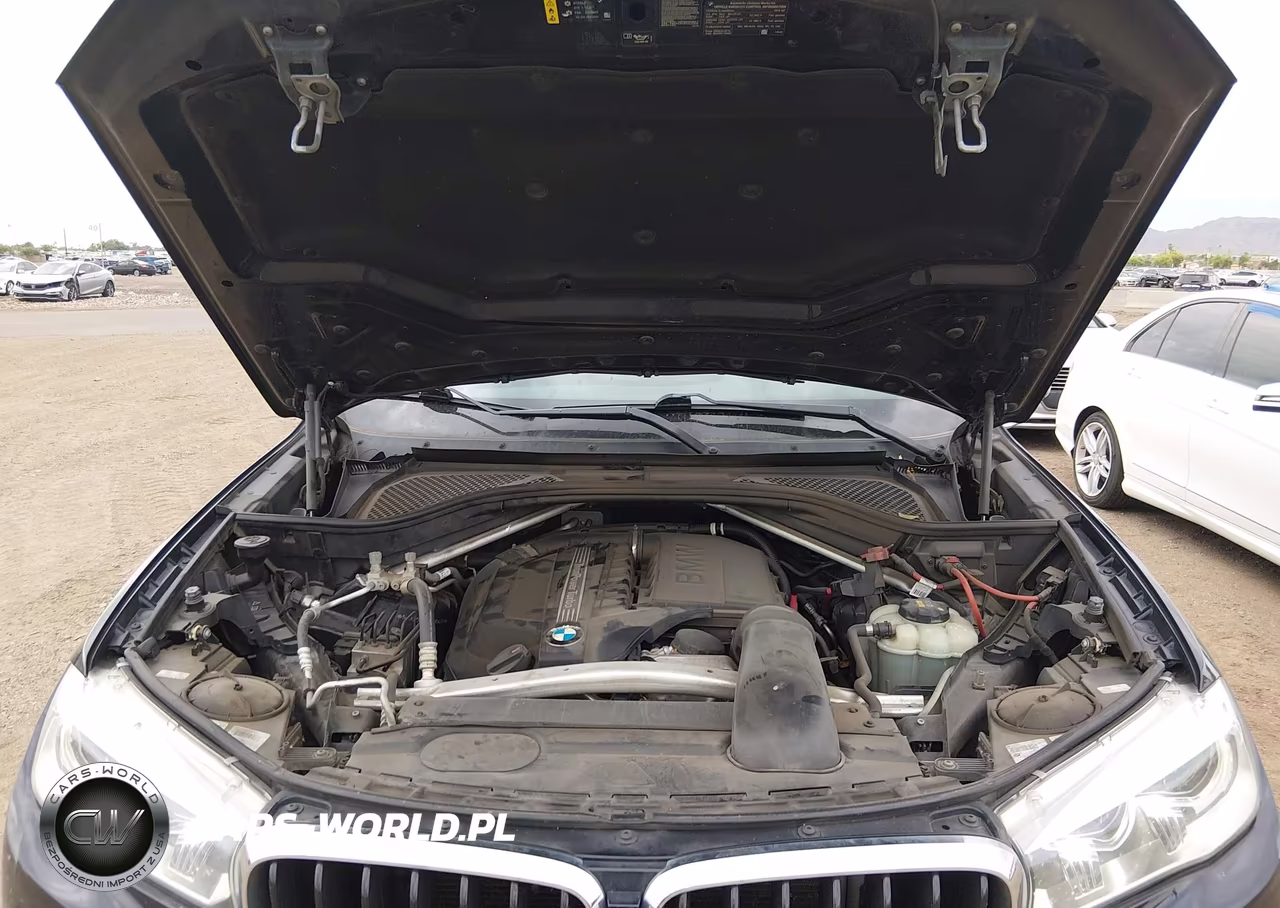 2018 BMW X6 Sdrive35I VIN:5UXKU0C54J0G80489 - 10