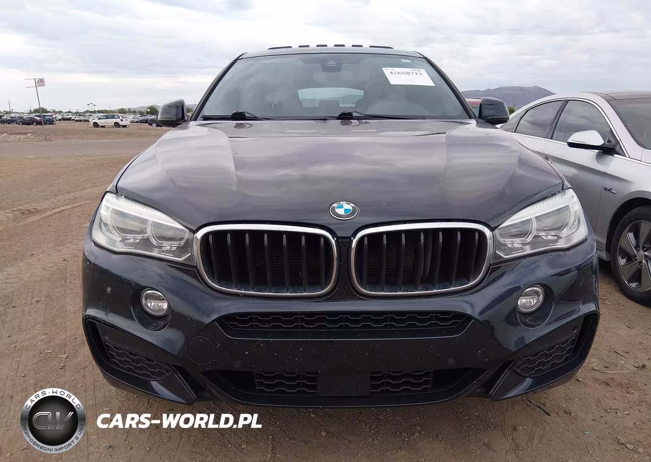 2018 BMW X6 Sdrive35I VIN:5UXKU0C54J0G80489 - 12
