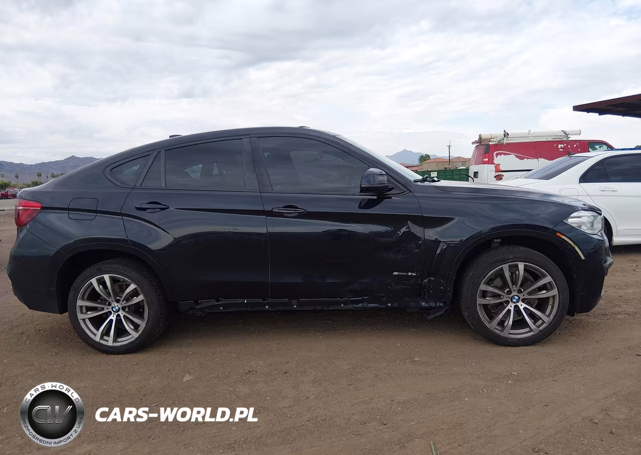 2018 BMW X6 Sdrive35I VIN:5UXKU0C54J0G80489 - 13