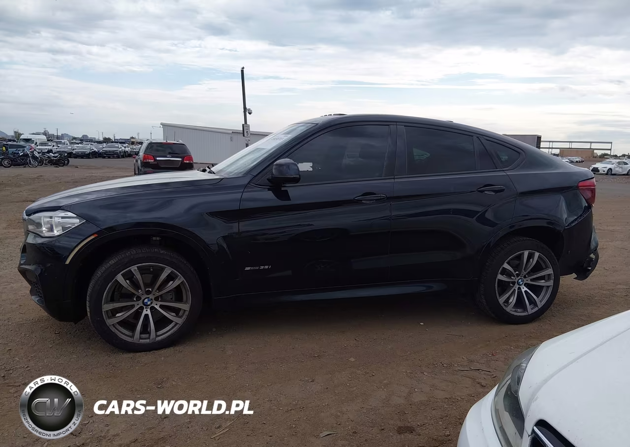 2018 BMW X6 Sdrive35I VIN:5UXKU0C54J0G80489 - 14