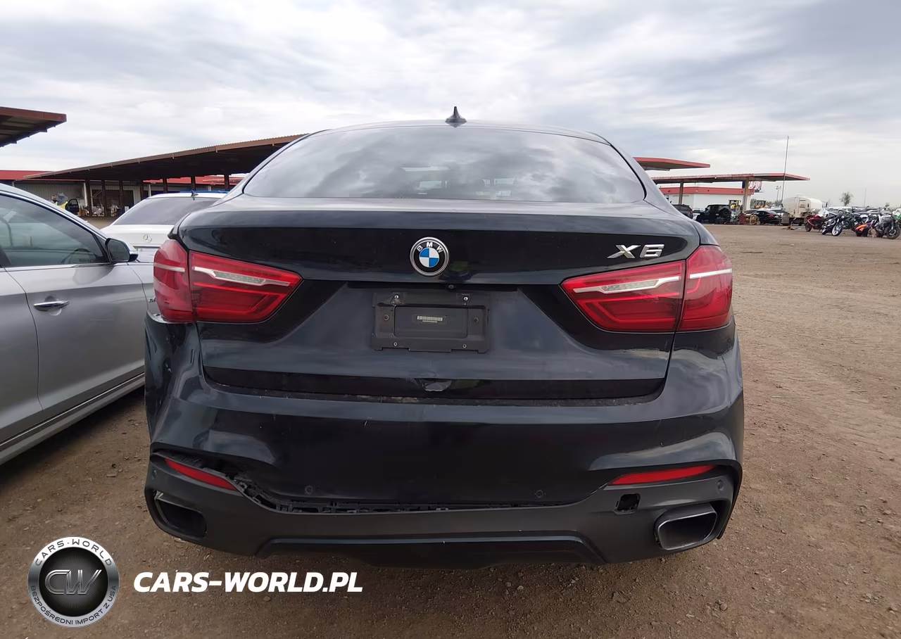 2018 BMW X6 Sdrive35I VIN:5UXKU0C54J0G80489 - 16