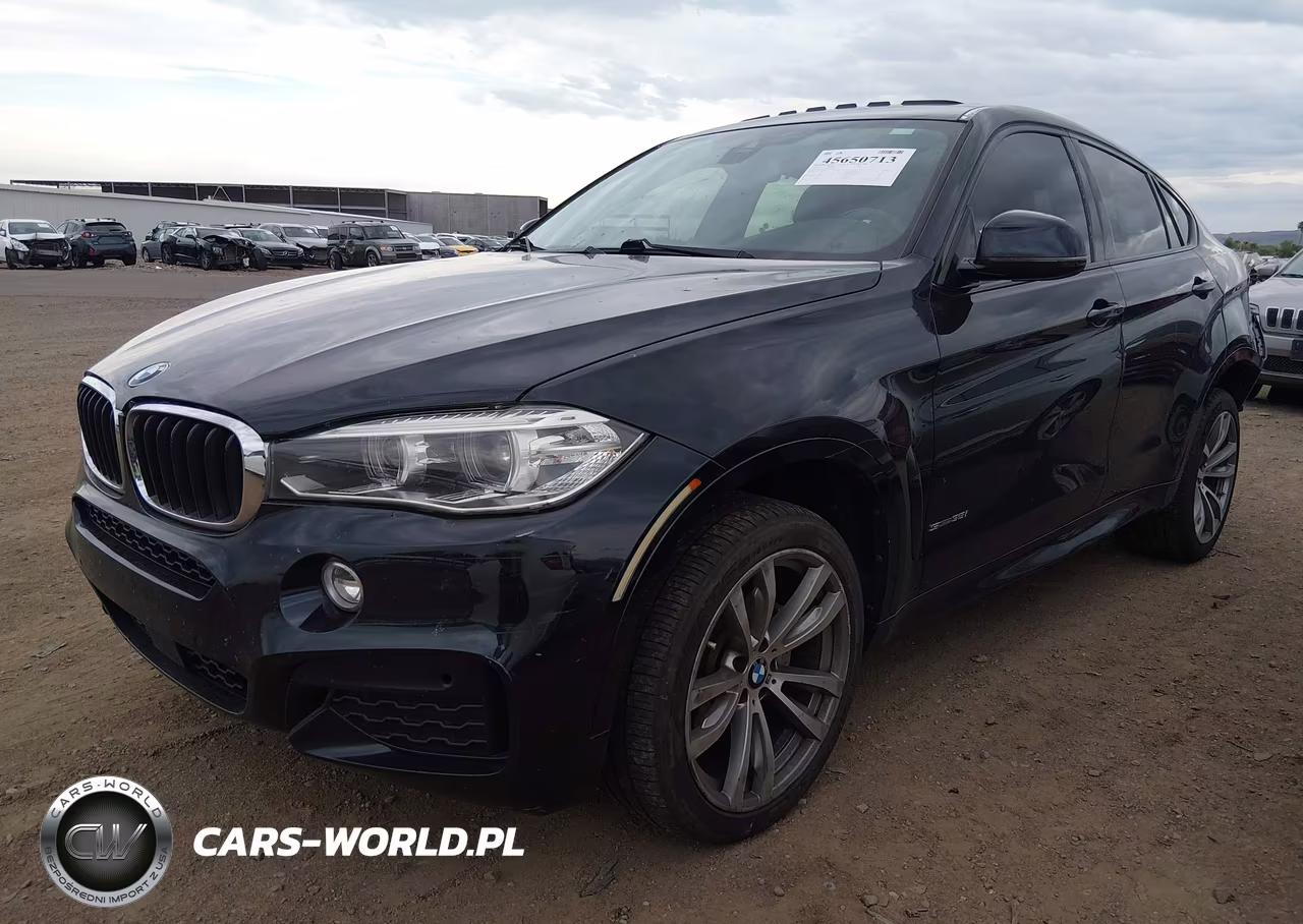 2018 BMW X6 Sdrive35I VIN:5UXKU0C54J0G80489 - 2