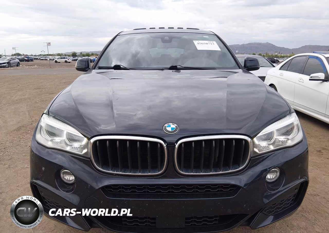 2018 BMW X6 Sdrive35I VIN:5UXKU0C54J0G80489 - 6