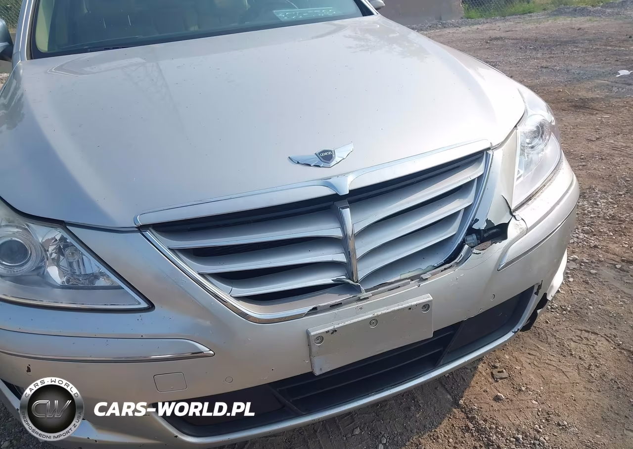 2010 Hyundai Genesis 4.6 VIN:KMHGC4DF6AU096511 - 12