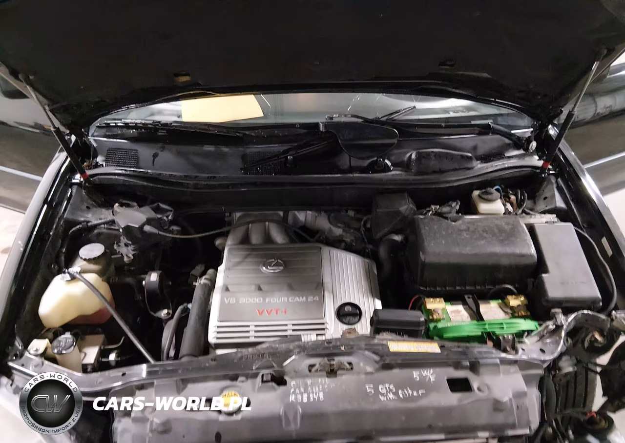 2000 Lexus Rx 300 VIN:JT6HF10U9Y0121610 - 10