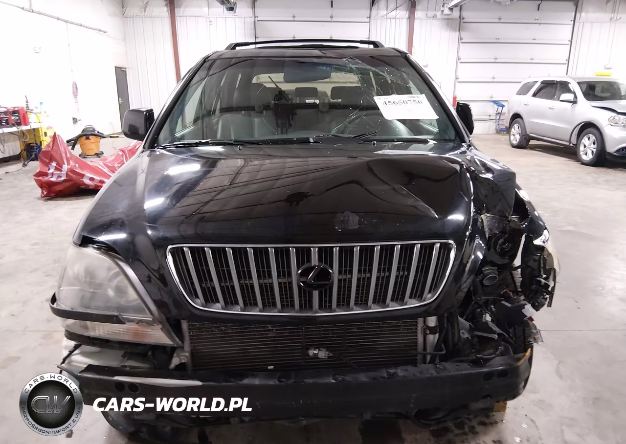 2000 Lexus Rx 300 VIN:JT6HF10U9Y0121610 - 13