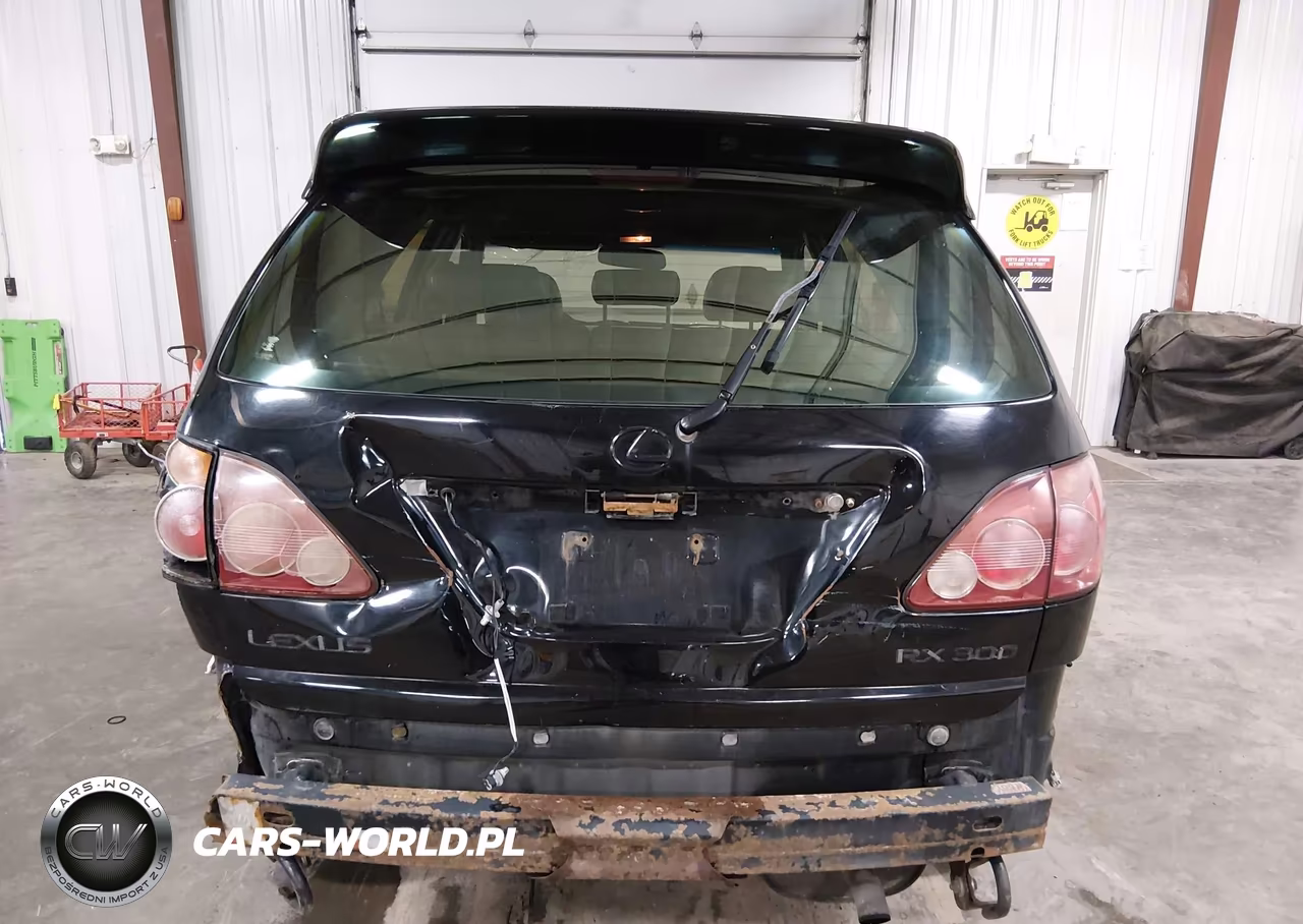 2000 Lexus Rx 300 VIN:JT6HF10U9Y0121610 - 17