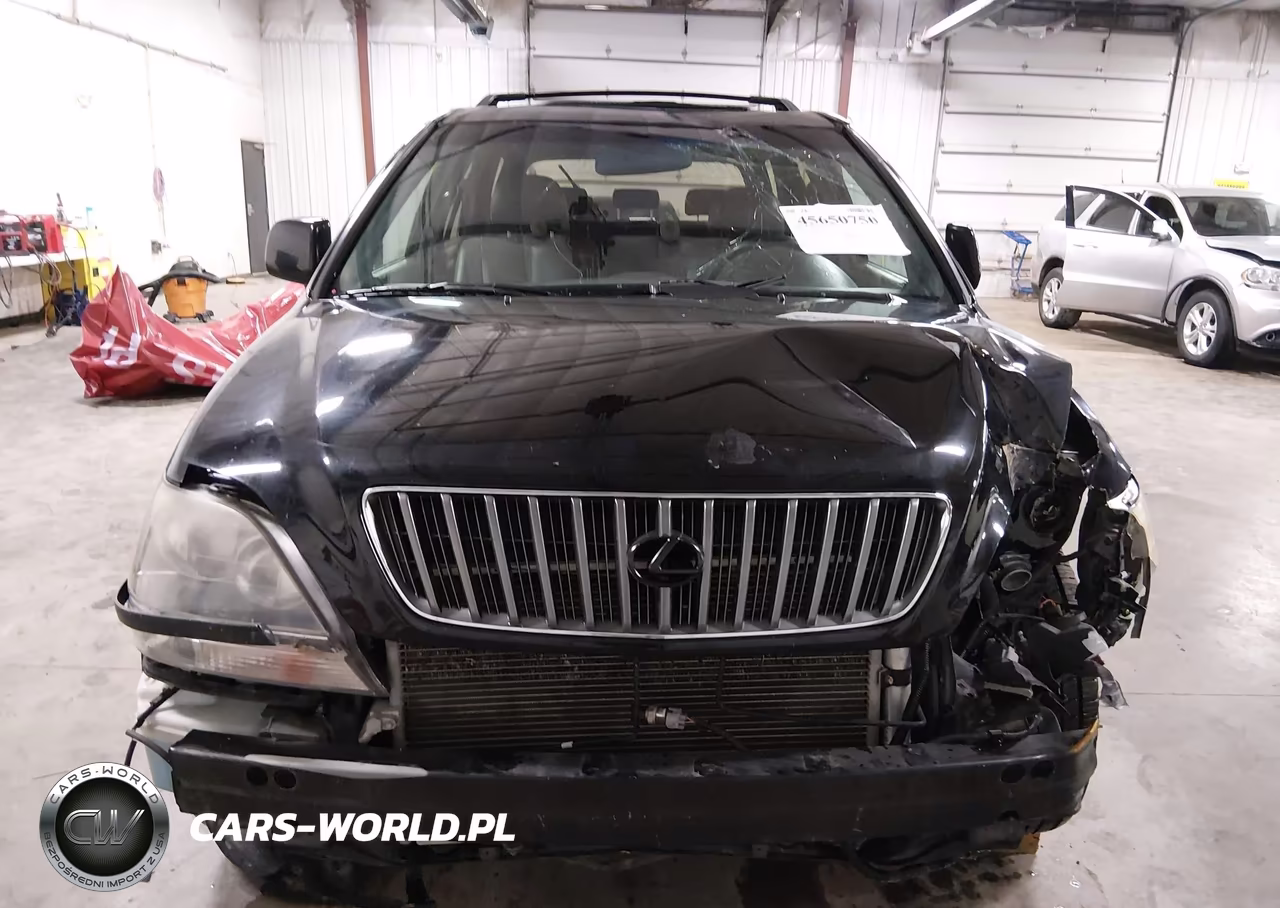 2000 Lexus Rx 300 VIN:JT6HF10U9Y0121610 - 21