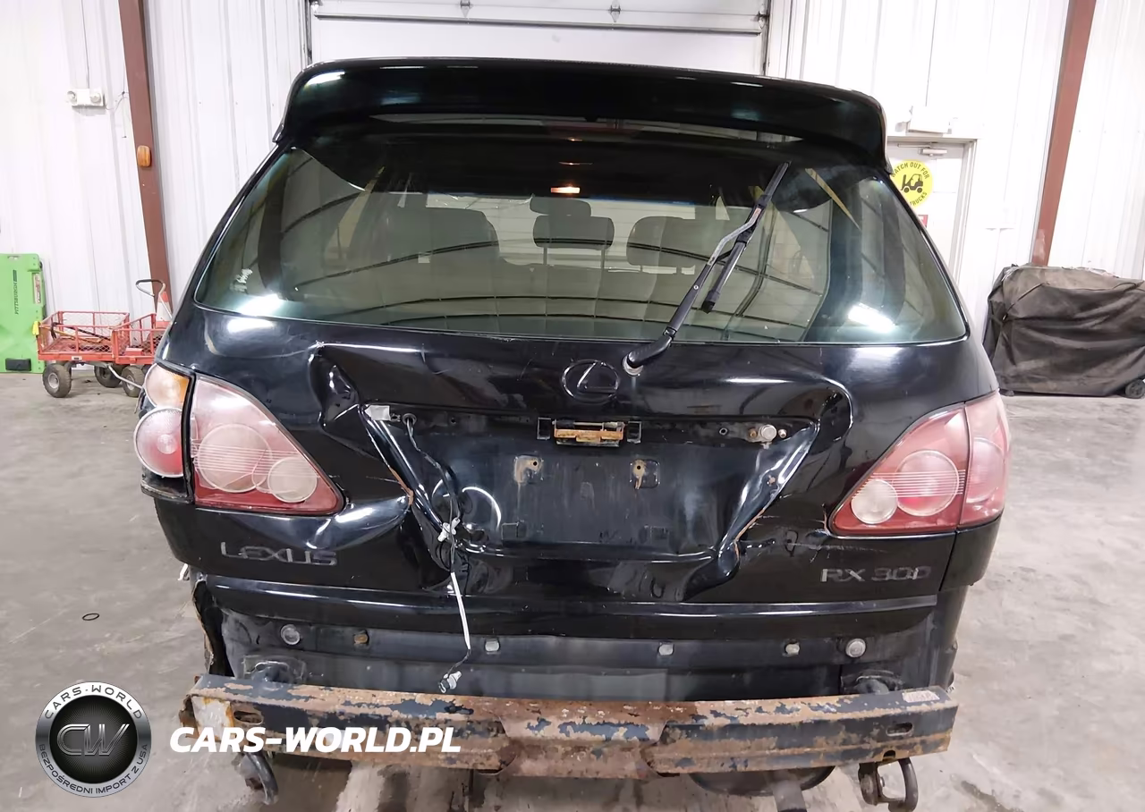 2000 Lexus Rx 300 VIN:JT6HF10U9Y0121610 - 6