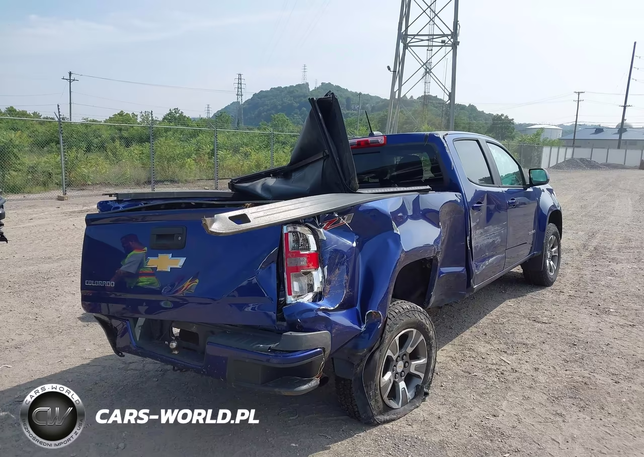2015 Chevrolet Colorado 4Wd Z71 VIN:1GCGTCE3XF1224955 - 4