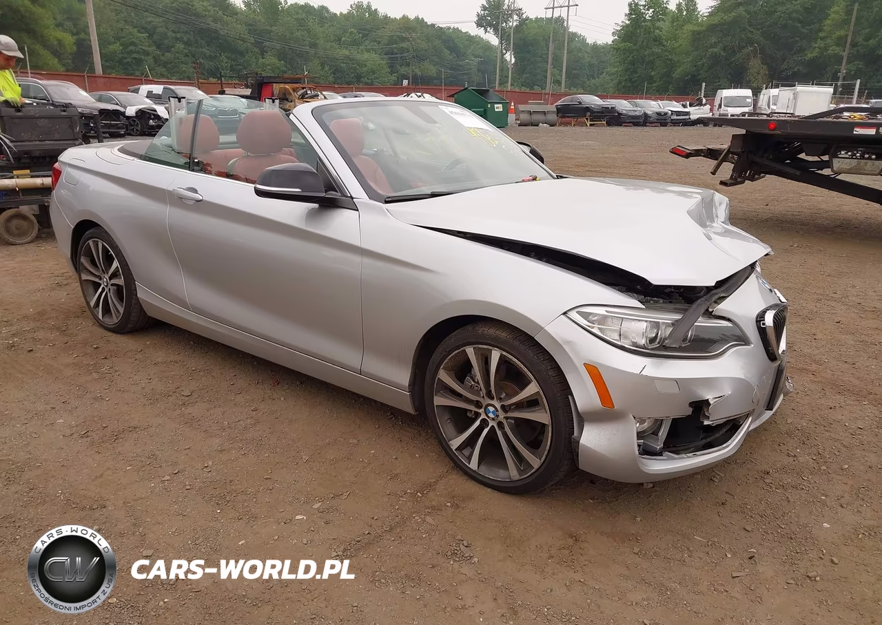 2015 BMW 228I xDrive VIN:WBA1K7C57FV235065 - 1