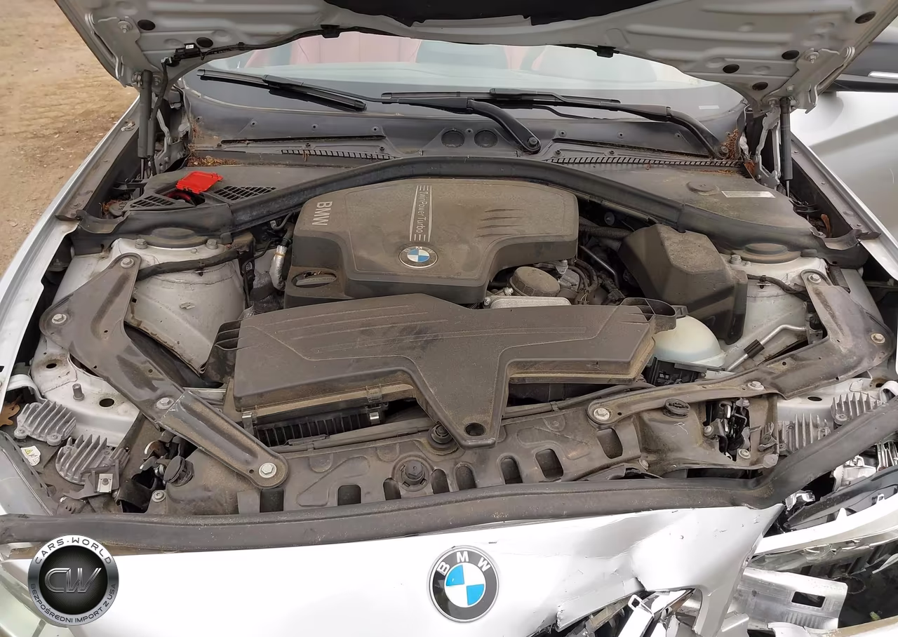 2015 BMW 228I xDrive VIN:WBA1K7C57FV235065 - 10