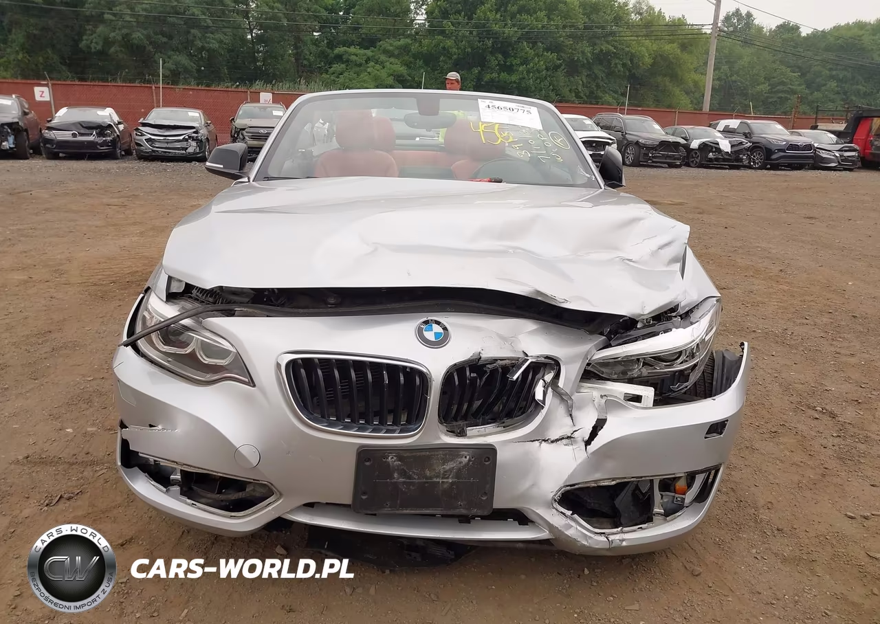 2015 BMW 228I xDrive VIN:WBA1K7C57FV235065 - 12