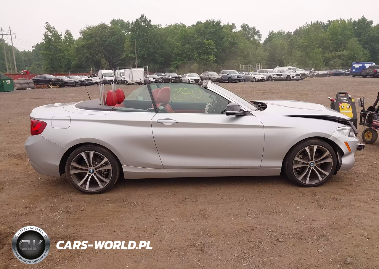 2015 BMW 228I xDrive VIN:WBA1K7C57FV235065 - 13