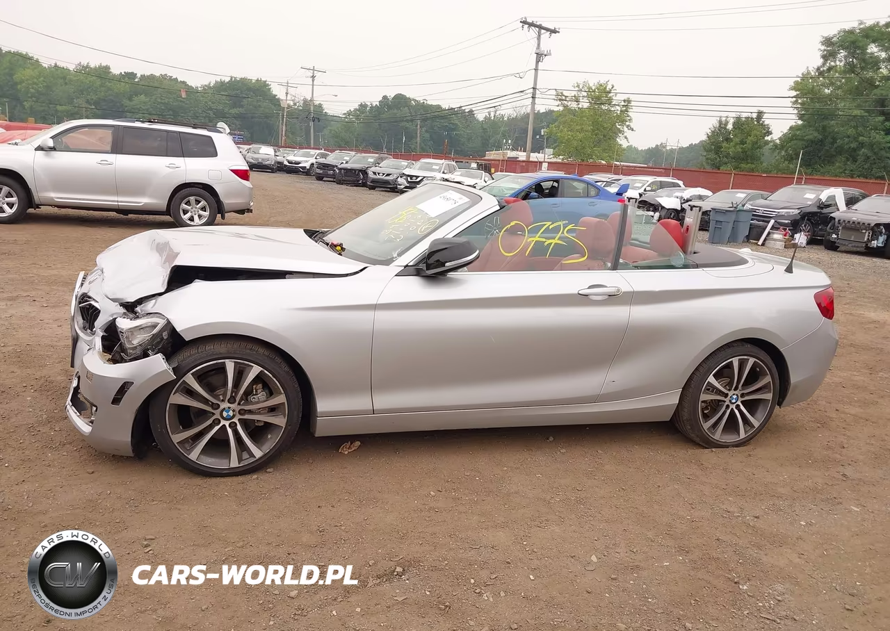 2015 BMW 228I xDrive VIN:WBA1K7C57FV235065 - 14