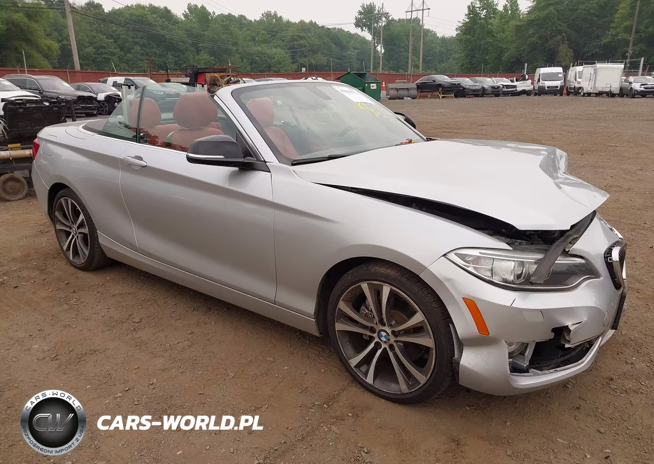 2015 BMW 228I xDrive VIN:WBA1K7C57FV235065 - 17