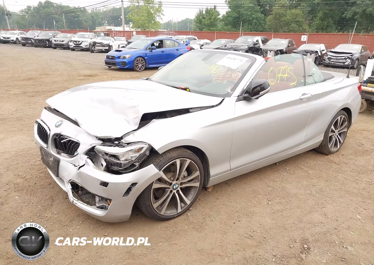 2015 BMW 228I xDrive VIN:WBA1K7C57FV235065 - 2