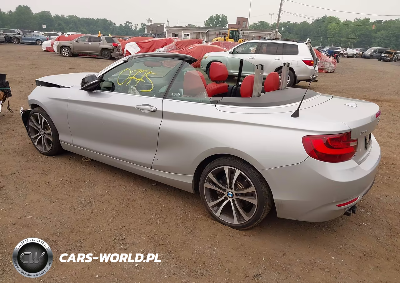 2015 BMW 228I xDrive VIN:WBA1K7C57FV235065 - 3