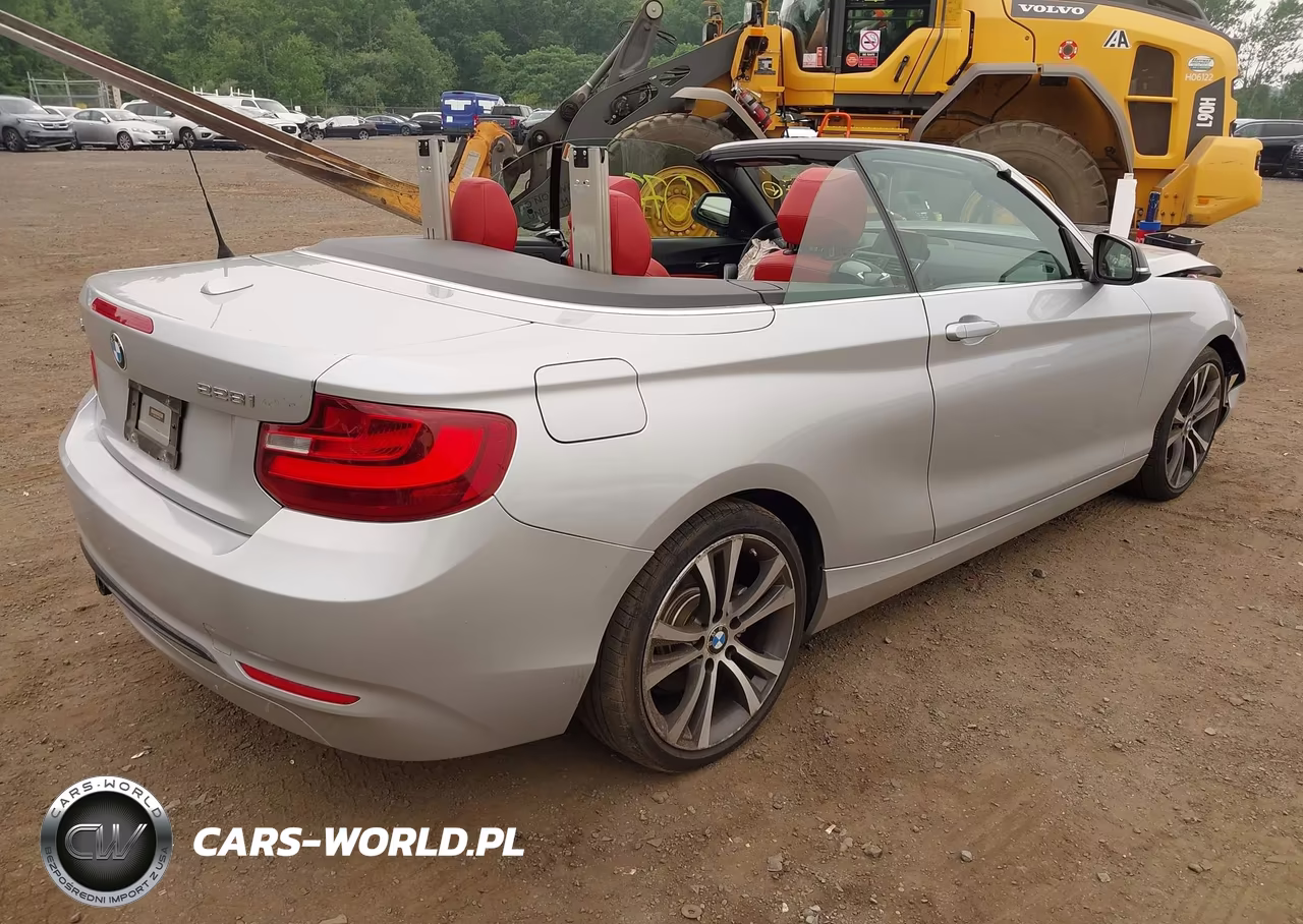 2015 BMW 228I xDrive VIN:WBA1K7C57FV235065 - 4