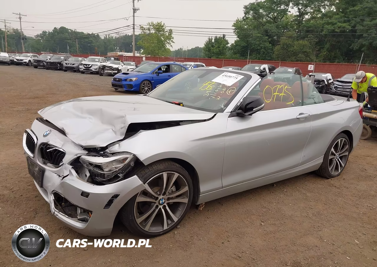 2015 BMW 228I xDrive VIN:WBA1K7C57FV235065 - 6