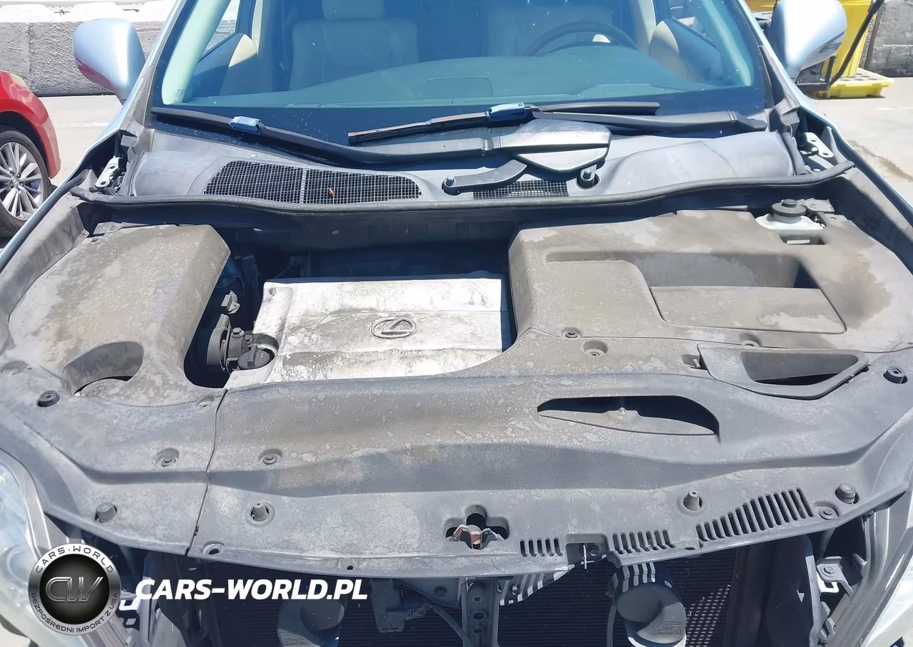 2010 Lexus Rx 350 VIN:JTJZK1BAXA2406402 - 10