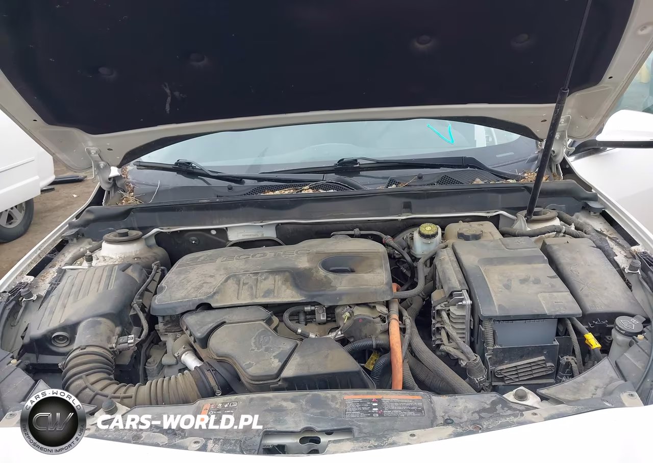 2013 Chevrolet Malibu Eco VIN:1G11D5RR8DF100687 - 10