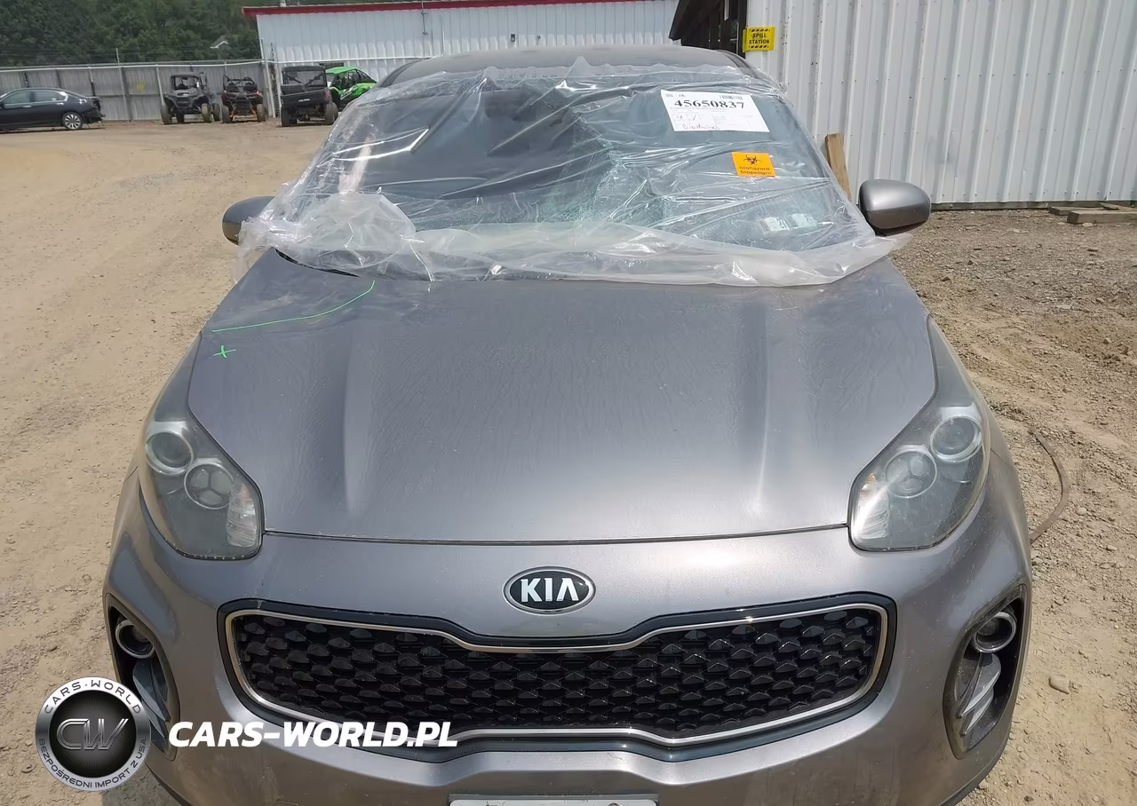 2019 Kia Sportage Lx VIN:KNDPMCAC5K7527068 - 10