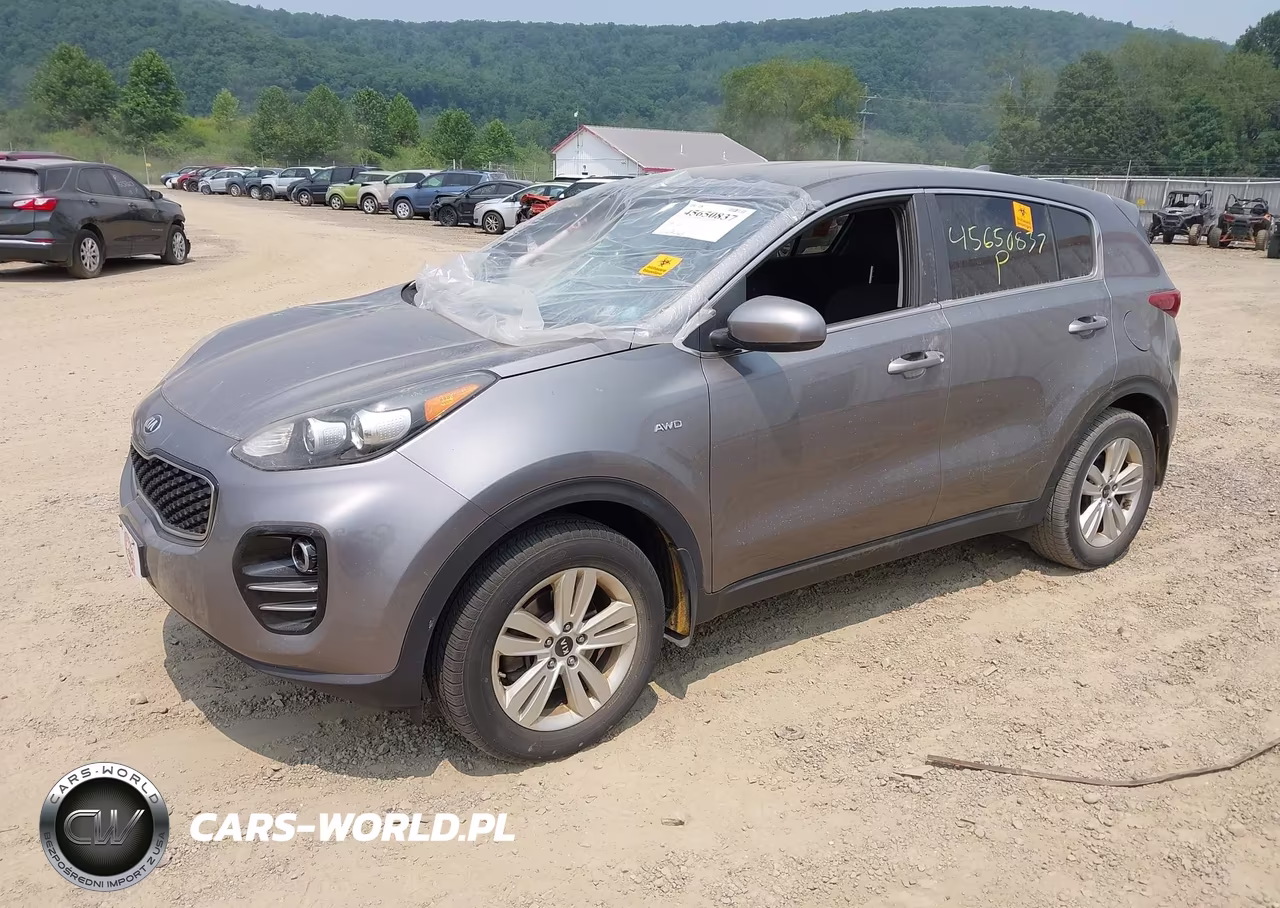 2019 Kia Sportage Lx VIN:KNDPMCAC5K7527068 - 2