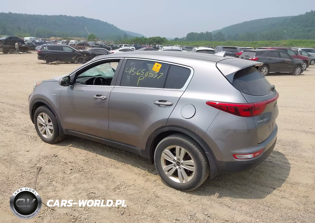 2019 Kia Sportage Lx VIN:KNDPMCAC5K7527068 - 3
